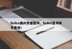 fedex国内快递查询，fedex查询单号查询！